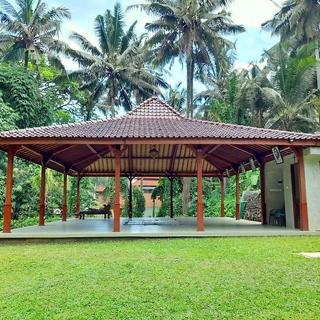 As I Am Ubud Retreat 외부 사진