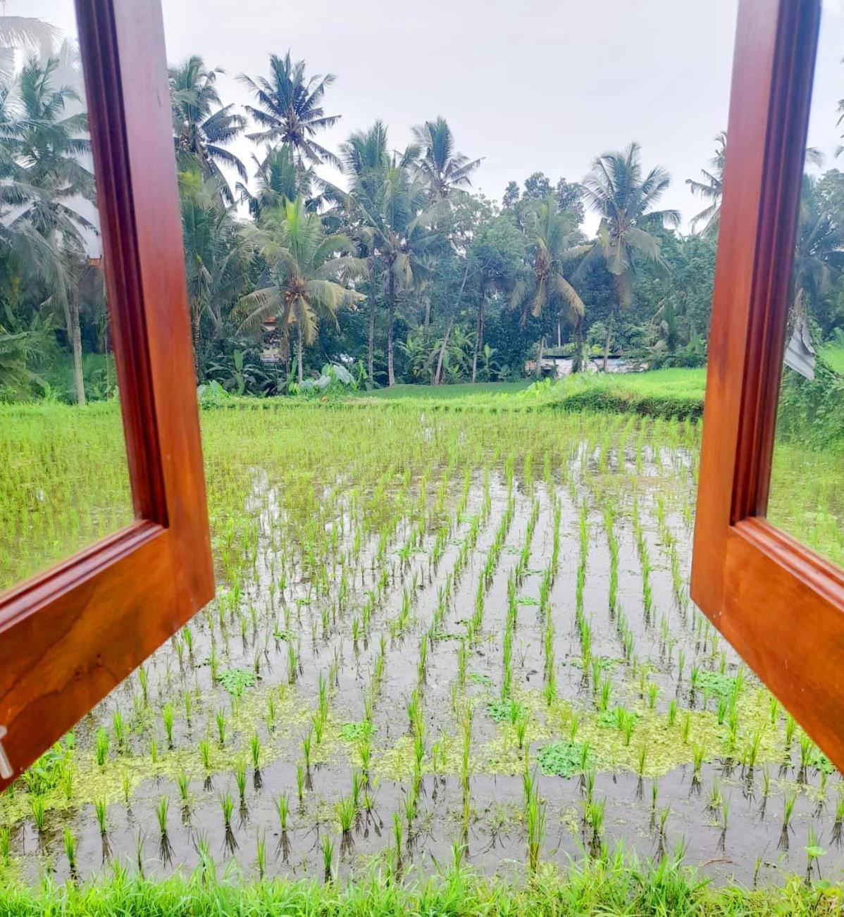 As I Am Ubud Retreat 객실 사진