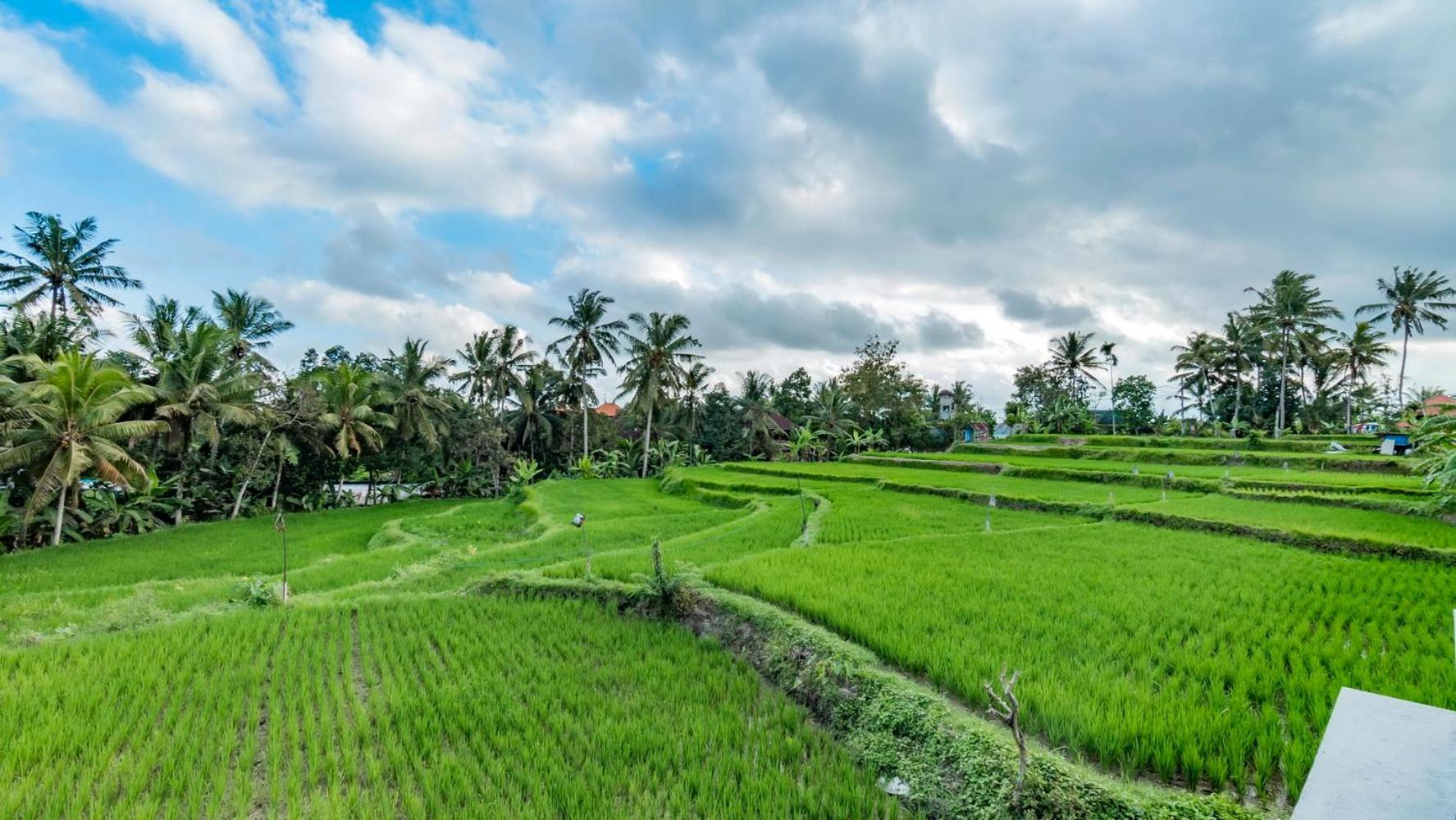 As I Am Ubud Retreat 외부 사진