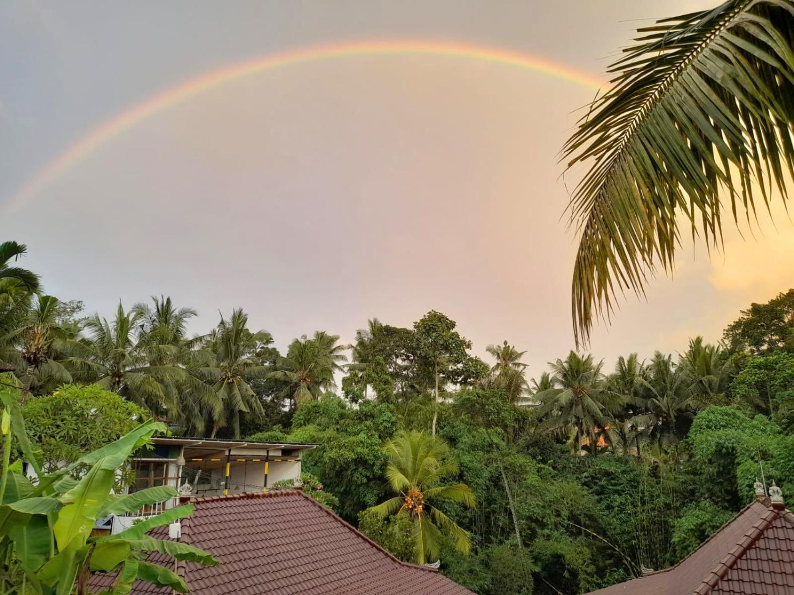 As I Am Ubud Retreat 외부 사진