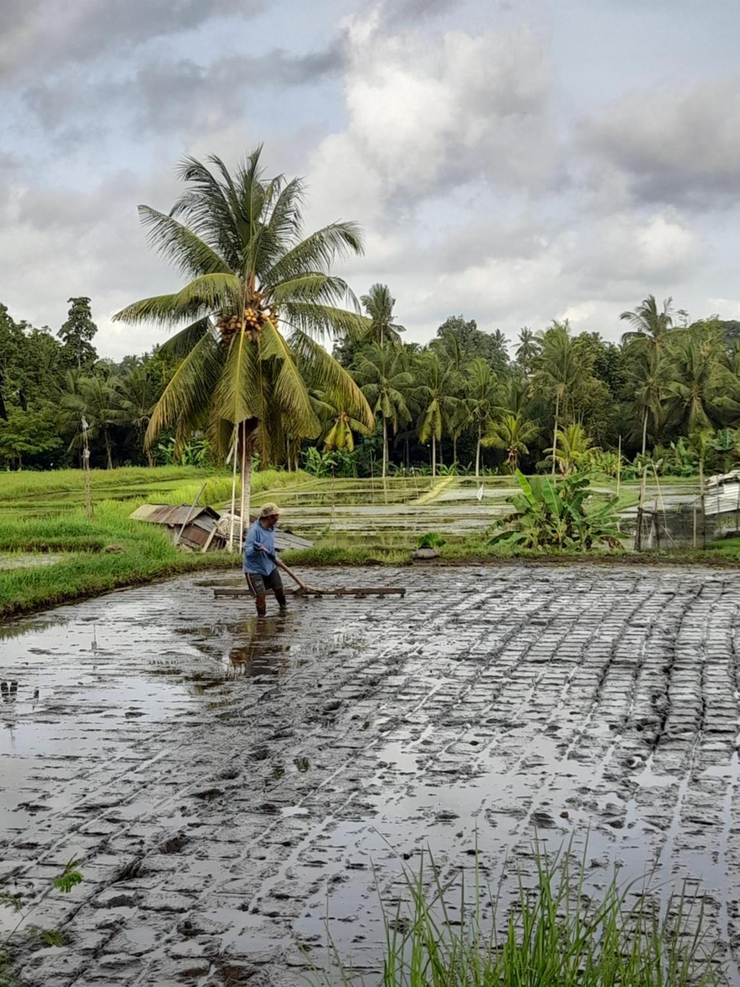 As I Am Ubud Retreat 외부 사진
