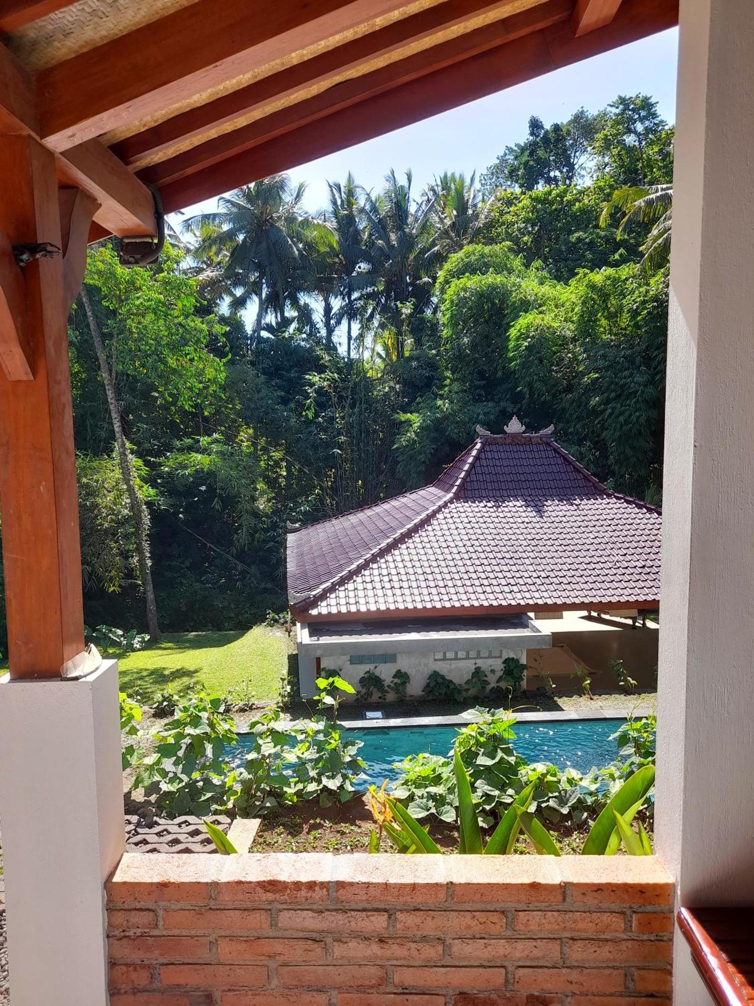 As I Am Ubud Retreat 외부 사진